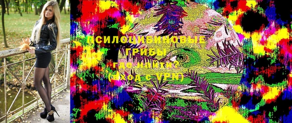 бутират Белокуриха