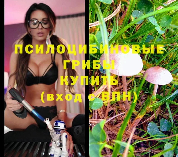 сатива Белоозёрский