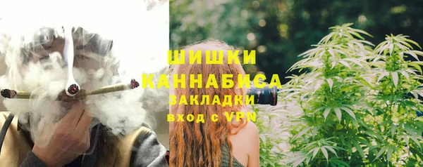 сатива Белоозёрский