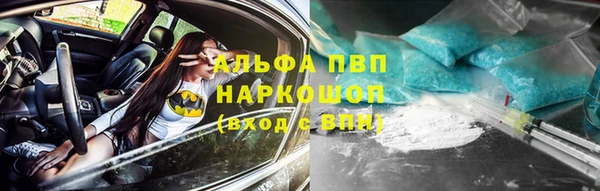 сатива Белоозёрский