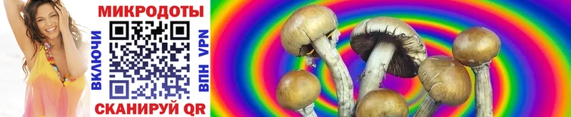 Псилоцибиновые грибы Magic Shrooms Вязники
