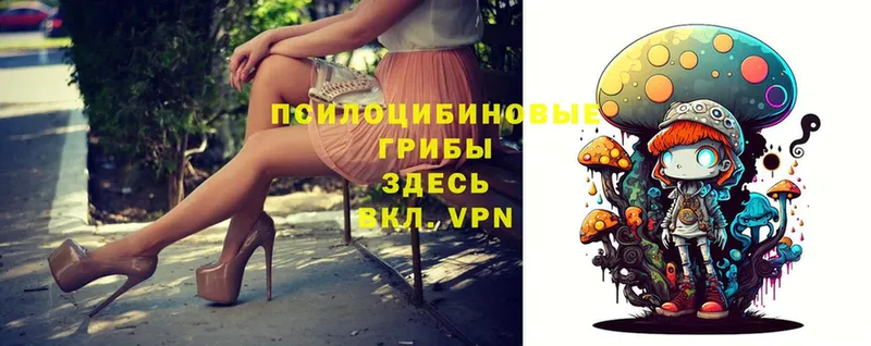 Псилоцибиновые грибы Psilocybe  сколько стоит  OMG зеркало  Вязники 