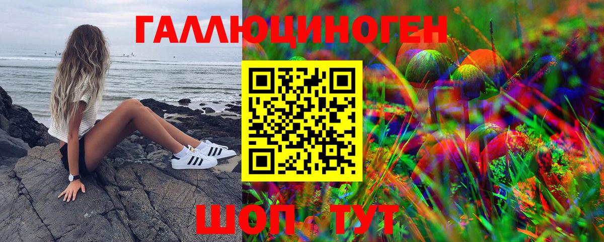 Галлюциногенные грибы Magic Shrooms Вязники